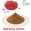 Bio-Goji-Beeren-Extrakt-Pulver